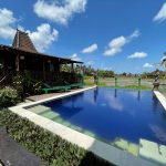Prachtig hostel met zwembad in Ubud