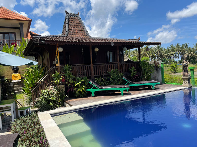 Bungalow bij hostel met zwembad in Ubud